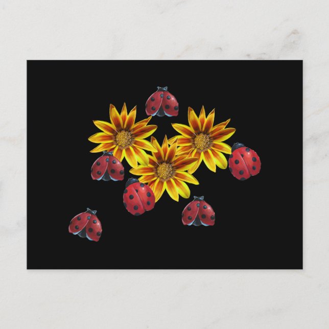 Carte Postale Ladybug (Devant)