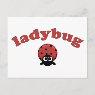 Carte Postale Ladybug