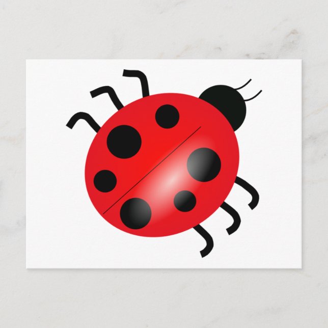 Carte Postale Ladybug - Ladybird (Devant)
