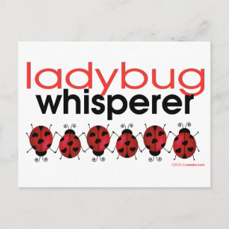 Carte Postale Ladybug Whisperer