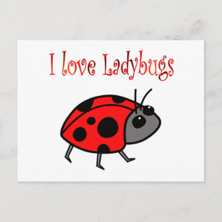 Carte Postale Ladybugs