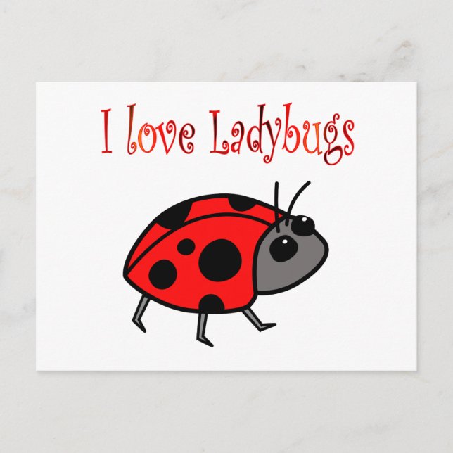 Carte Postale Ladybugs (Devant)