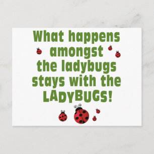 Carte Postale Ladybugs