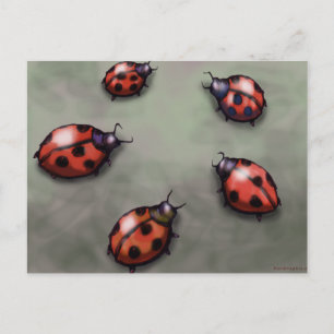 Carte Postale Ladybugs
