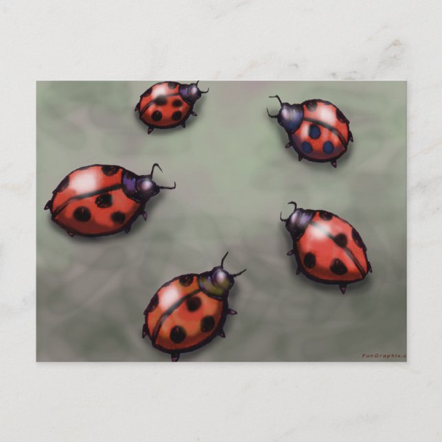 Carte Postale Ladybugs (Devant)