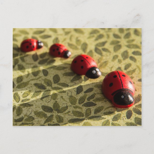 Carte postale Ladybugs (Devant)
