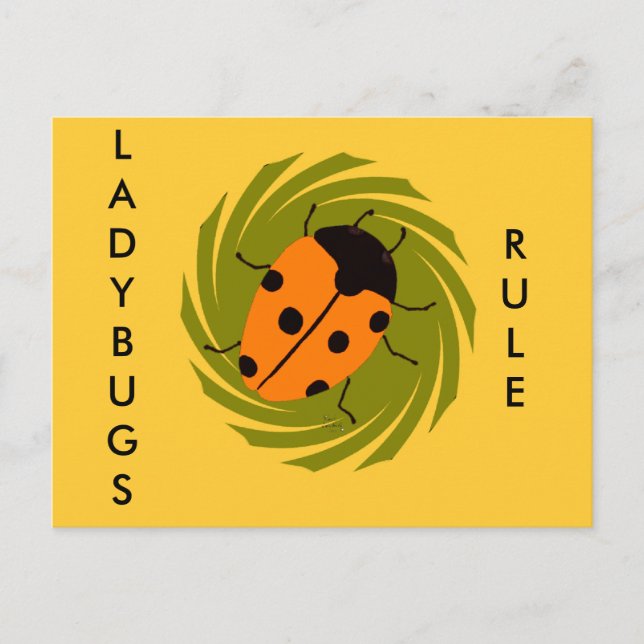 Carte Postale Ladybugs (Devant)