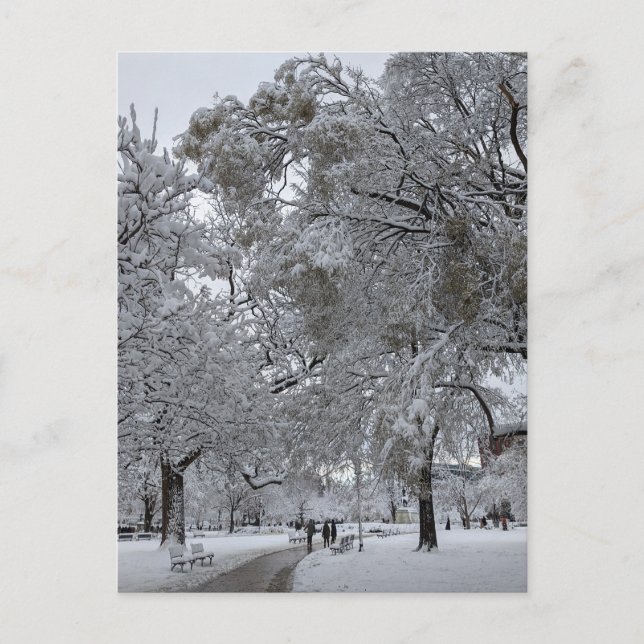 Carte Postale Lafayette Square, Washington, DC, chemin d'hiver (Devant)