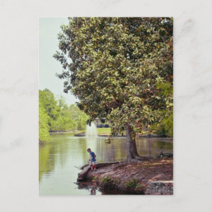 Carte Postale Lagon d'Audubon