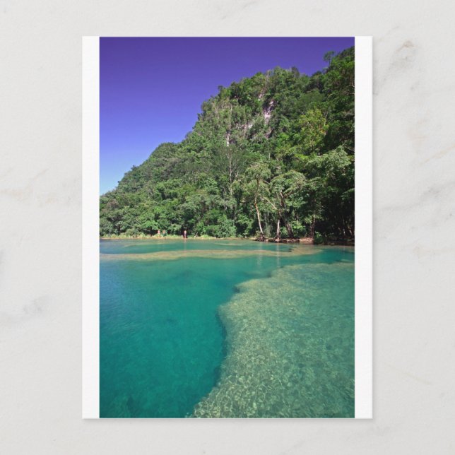 Carte Postale Lagon vert paradisiaque Semuc Champey Guatemala (Devant)