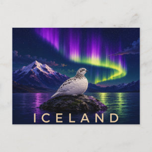Carte Postale Lagopède des Rochers sous l'Aurore   Islande Iconi