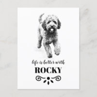 Lagotto Romagnolo Vie mieux Nom de chien personnal