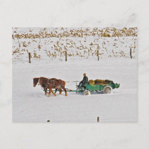 Carte Postale L'agriculteur Amish d'hiver au travail-Carte posta