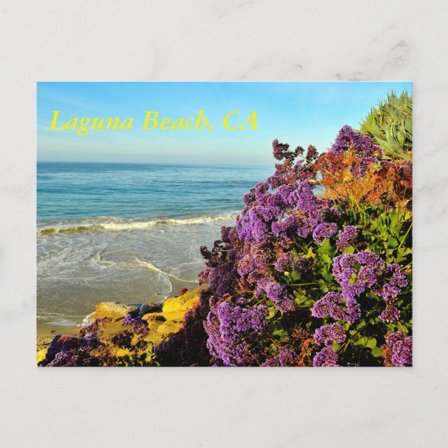 Carte postale Laguna Beach (Devant)