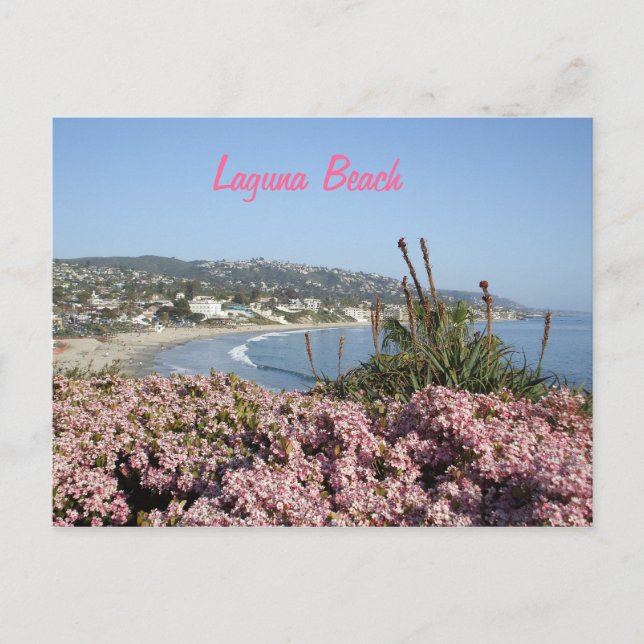 Carte Postale Laguna Beach flowers postcard (Devant)