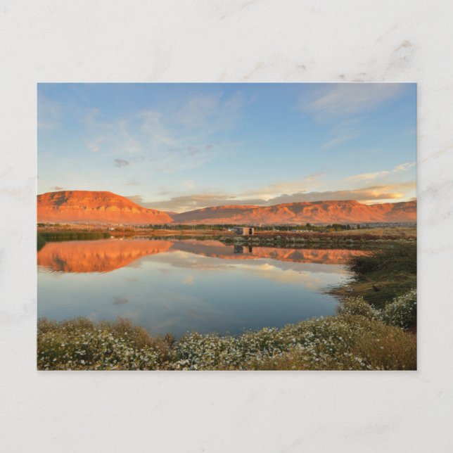 Carte Postale Laguna Nimez Sunset, El Calafate (Devant)