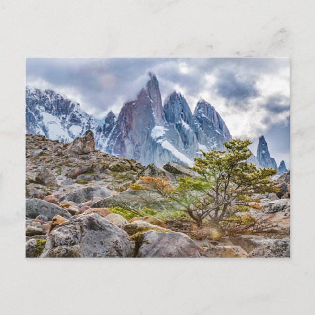 Carte Postale Laguna Torre El Chalten Argentine (Devant)