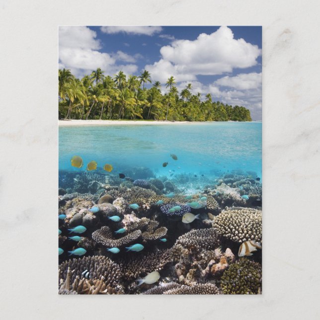 Carte Postale Lagune tropicale dans l'atoll d'Ari du Sud dans la (Devant)