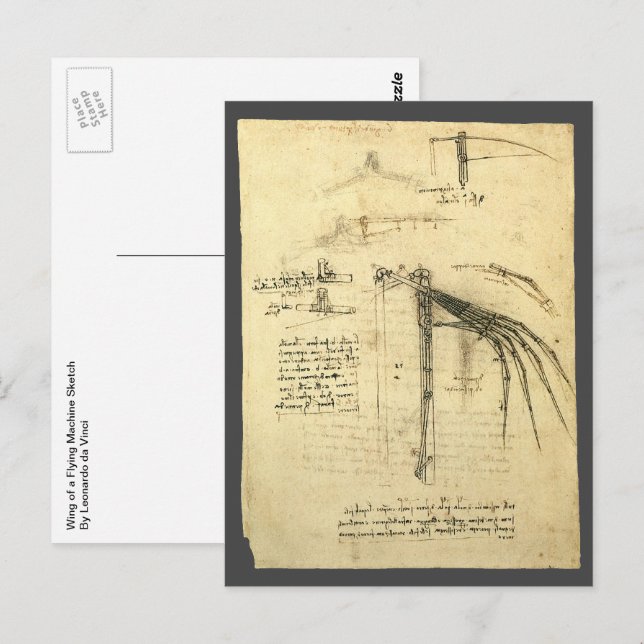 Carte Postale L'aile de Léonard de Vinci, esquisse de machine vo (Devant / Derrière)