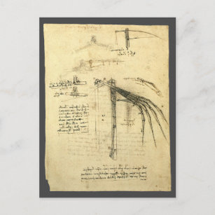 Carte Postale L'aile de Léonard de Vinci sur la machine volante 
