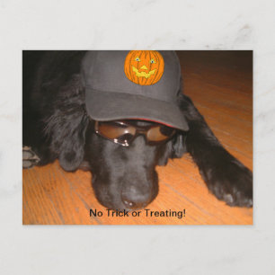 Carte Postale Laissé derrière cet Halloween