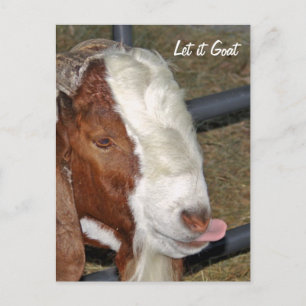 Carte Postale Laisse-le bouger, Boar Billy