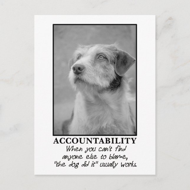 Carte Postale Laisse le chien prendre la responsabilité de tes p (Devant)