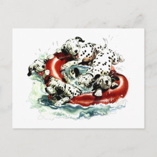 Carte Postale laisse nager