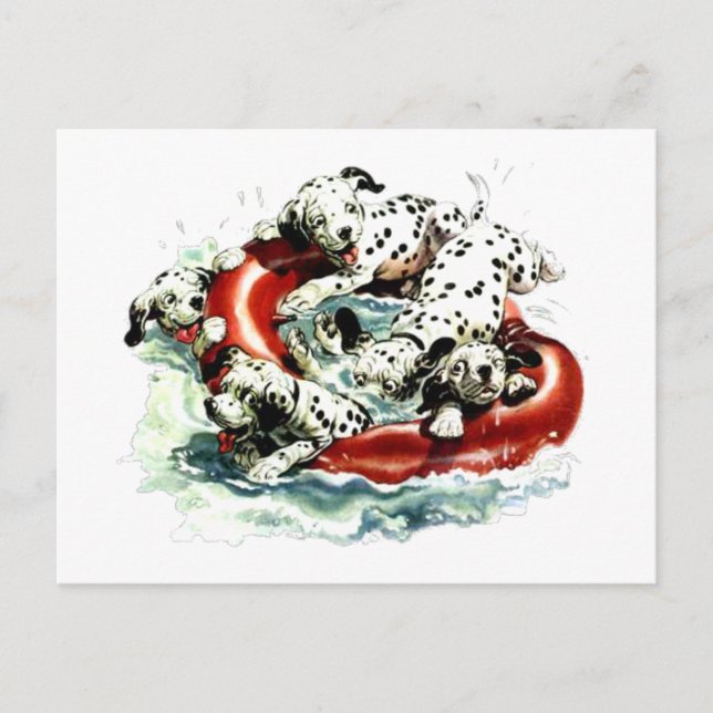 Carte Postale laisse nager (Devant)