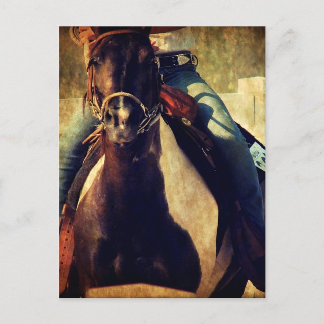 Carte Postale Laisse Pinto Pony s'enfuir (Devant)
