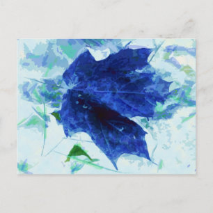 Carte Postale Laisser