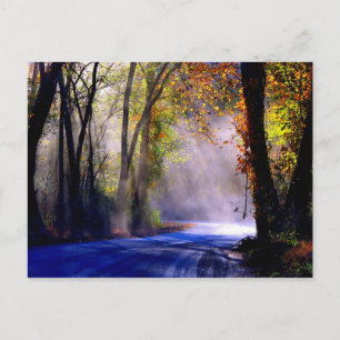 Carte Postale Laisser Briller Votre Lumière