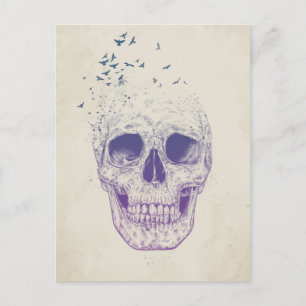 Carte Postale Laissez-les voler