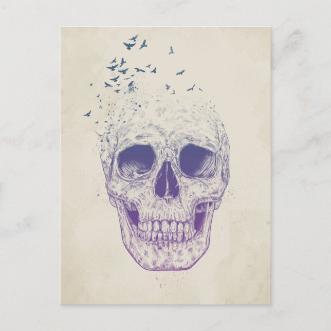 Carte Postale Laissez-les voler (Devant)