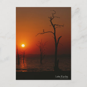 Carte Postale Lake Kariba Sunset