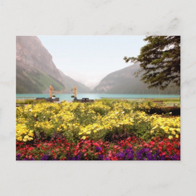 Carte Postale Lake Louise Gardens (Devant)