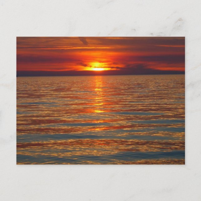 Carte Postale Lake Michigan Sunset Postcard (Devant)