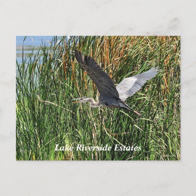 Carte postale Lake Riverside Estates (Devant)