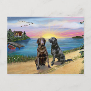 Carte Postale Lake Road - Deux Labradors Retrievers (Chocolat-No