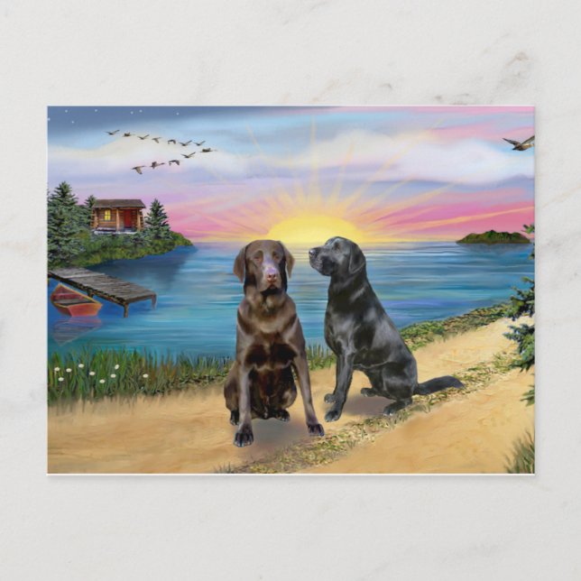 Carte Postale Lake Road - Deux récupérateurs Labrador (Choc-Blk) (Devant)