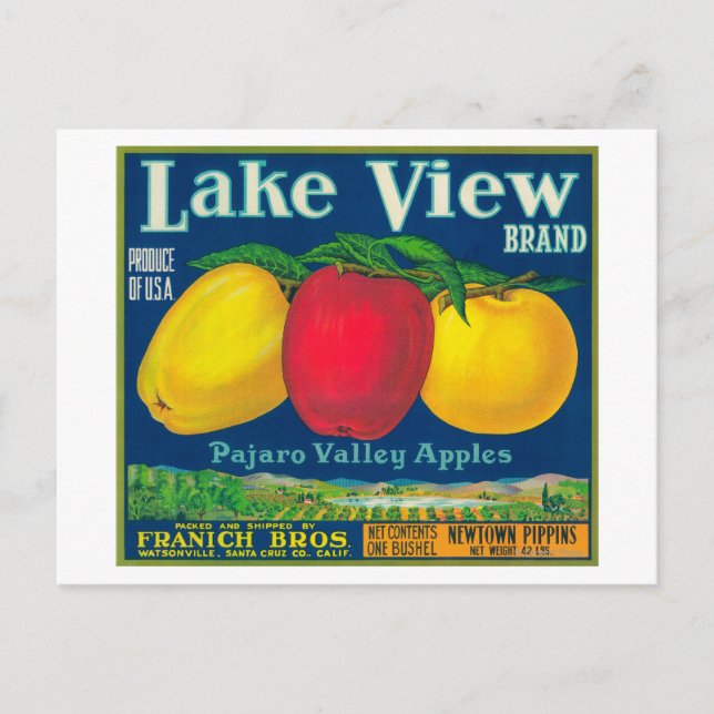 Carte Postale Lake View Apple Étiquette - Watsonville, CA (Devant)