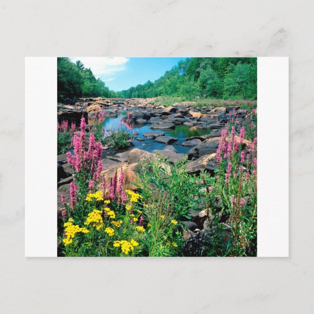 Carte Postale Lake Wisconsin River Réserve d'âge glaciaire Wisco (Devant)