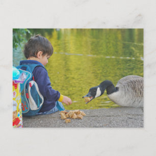 Carte postale Lakeside