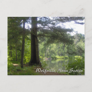 Carte Postale Lakeside Woodland