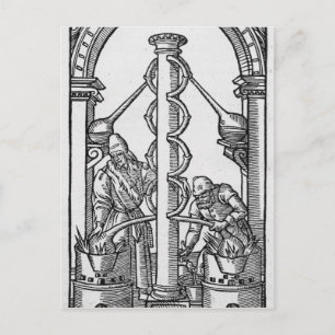 Carte Postale L'alchimiste au travail