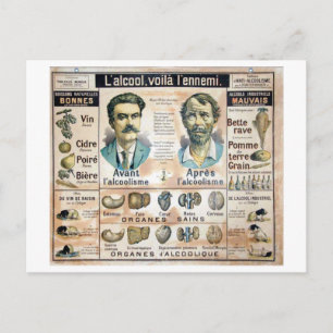 Carte Postale L'Alcool Voila l'Ennemi #1