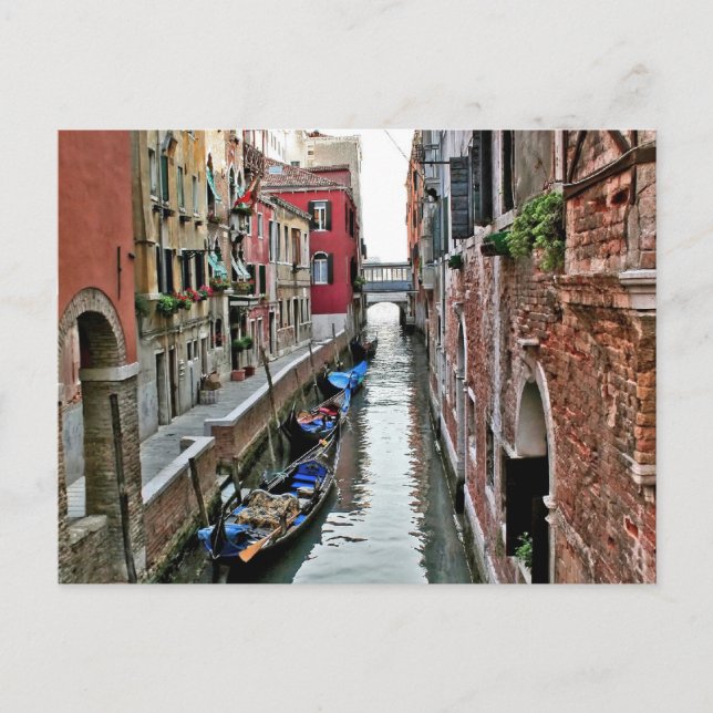 Carte Postale L'allée de Venice (Devant)