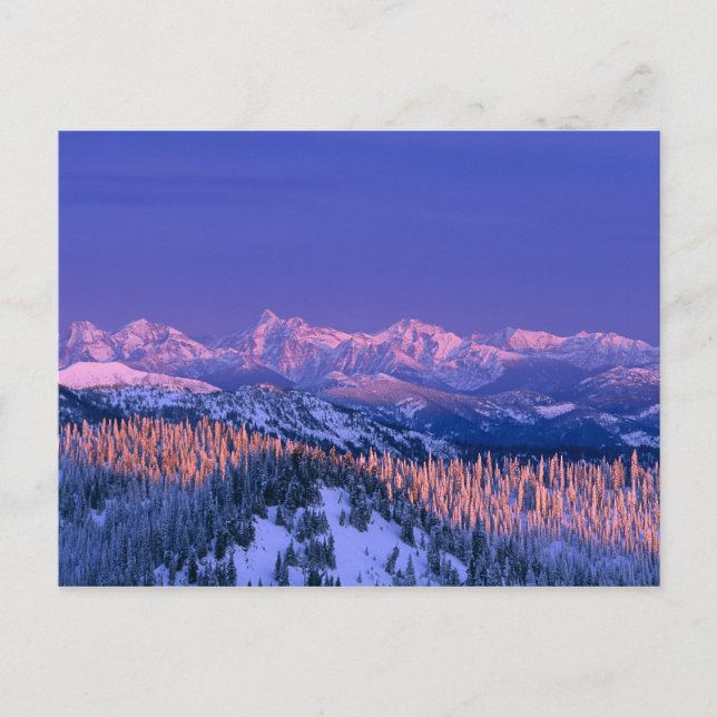 Carte Postale L'alpenglow frappe les sommets du Glacier (Devant)