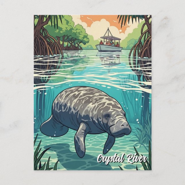 Carte Postale Lamantin dans Crystal River en Floride (Devant)