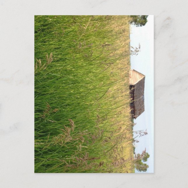 Carte Postale L'Ambre de Hay de Kathleen Taylor (Devant)